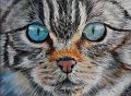 Chat sauvage